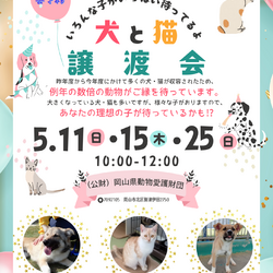 犬・猫の譲渡会 サムネイル3