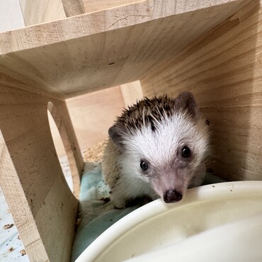 ご飯中にパシャリ