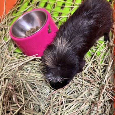 僕にはつむじがあるんだよ