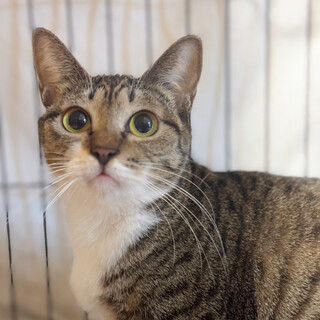 6/22西千葉ෆ⃛とっても穏やかෆ⃛ゆんちゃん