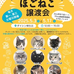 ほごねこ譲渡会　〜愛すべき野良猫の会〜