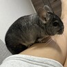子供がアレルギー出てしまった為… サムネイル2
