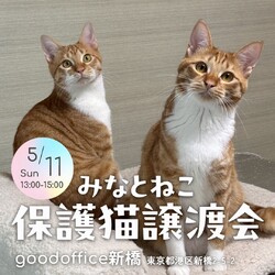 みなとねこ保護猫譲渡会＠新橋