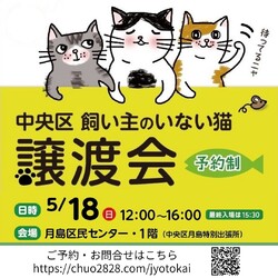 中央区飼い主のいない猫譲渡会