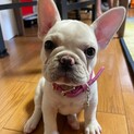 たくさんのご応募ありがとうございました