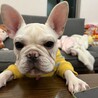 たくさんのご応募ありがとうございました サムネイル2