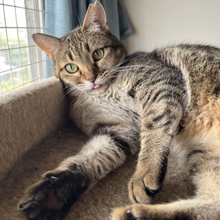 山に突然捨てられ独りぼっちで生きていた女の子