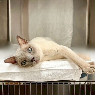 甘えん坊な男の子！