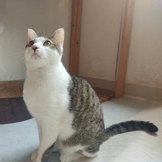 お風呂も一緒、肩乗り膝乗り爪切りもOK！