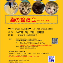猫の譲渡会　by にゃんころ隊　5/25
