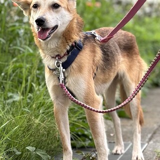 怖いことも頑張る、おとなしい女の子ラムネ