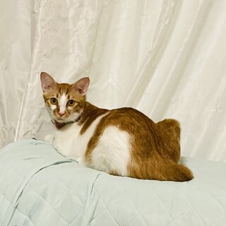 元気いっぱい大和くん!!