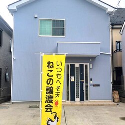 いつもへそ天 猫の譲渡会 サムネイル2