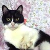 個別お見合い、スリスリのキラちゃん
