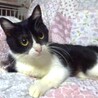 個別お見合い、スリスリのキラちゃん