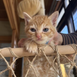 小さくて可愛い３兄妹❤️