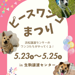 ピースワンコまつりin生駒譲渡センター