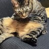 みいゆき