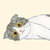 moko0203