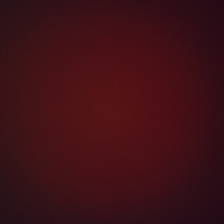 ジャンガリアンハムスター3匹