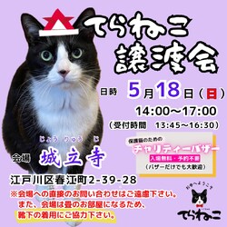 【第12回】てらねこ譲渡会