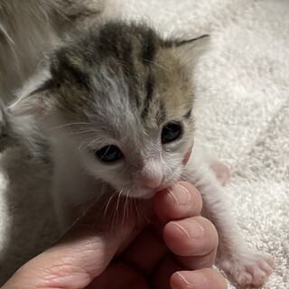 優しいご家族にお迎えをして頂きました。