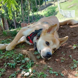 性格可愛いイケメン夏くん！