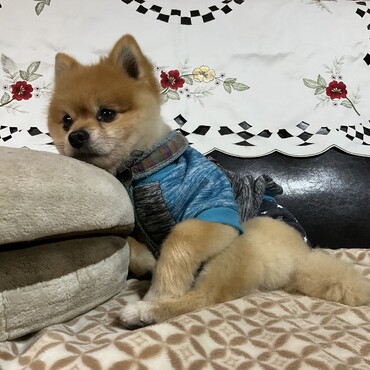 の写真