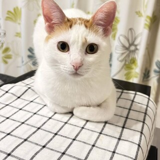 とっても賢いキレイな男の子♡