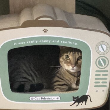 の写真