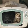 の写真