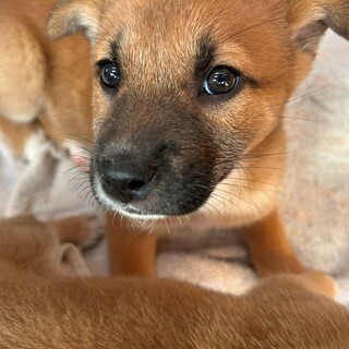 臆病な男の子『エキたん』