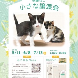 ねこのわNara『保護猫 小さな譲渡会』
