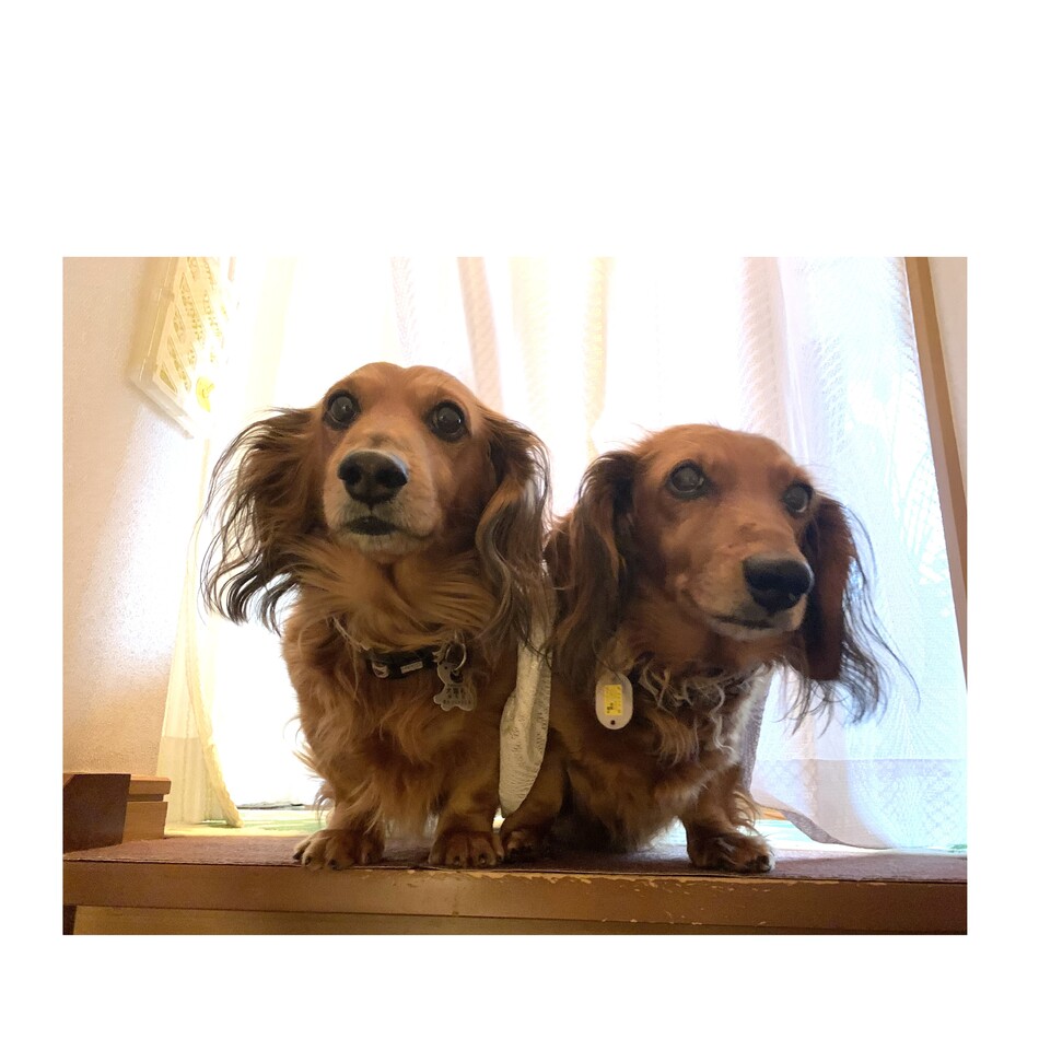 故　ラッキー　／　　長男のカバー写真