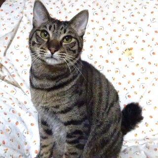 個別お見合い、甘えるようになった水月くん