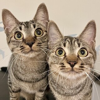 【6/22品川】すぐに仲よくなれる✦初心者向き