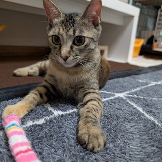 麦わらサビの可愛い女の子⭐︎