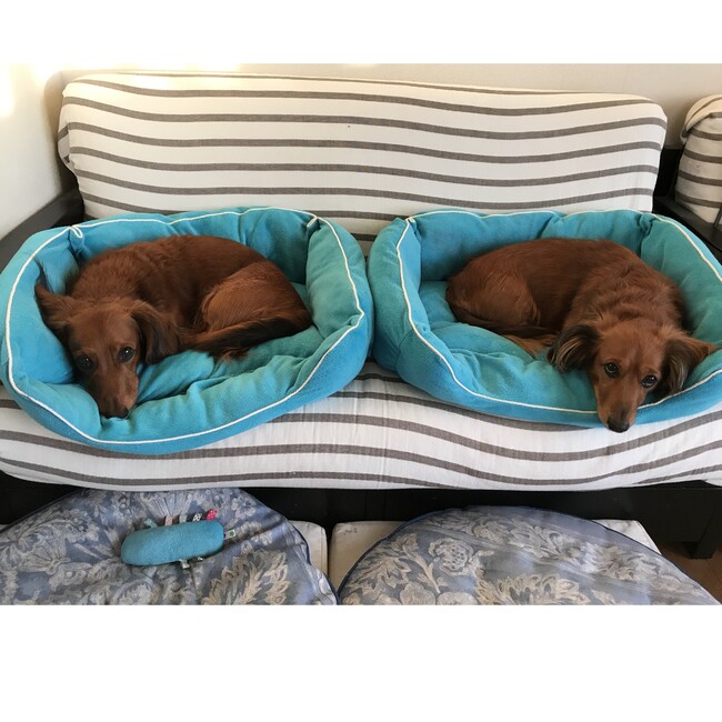 ＭＬＨＲのカバー写真