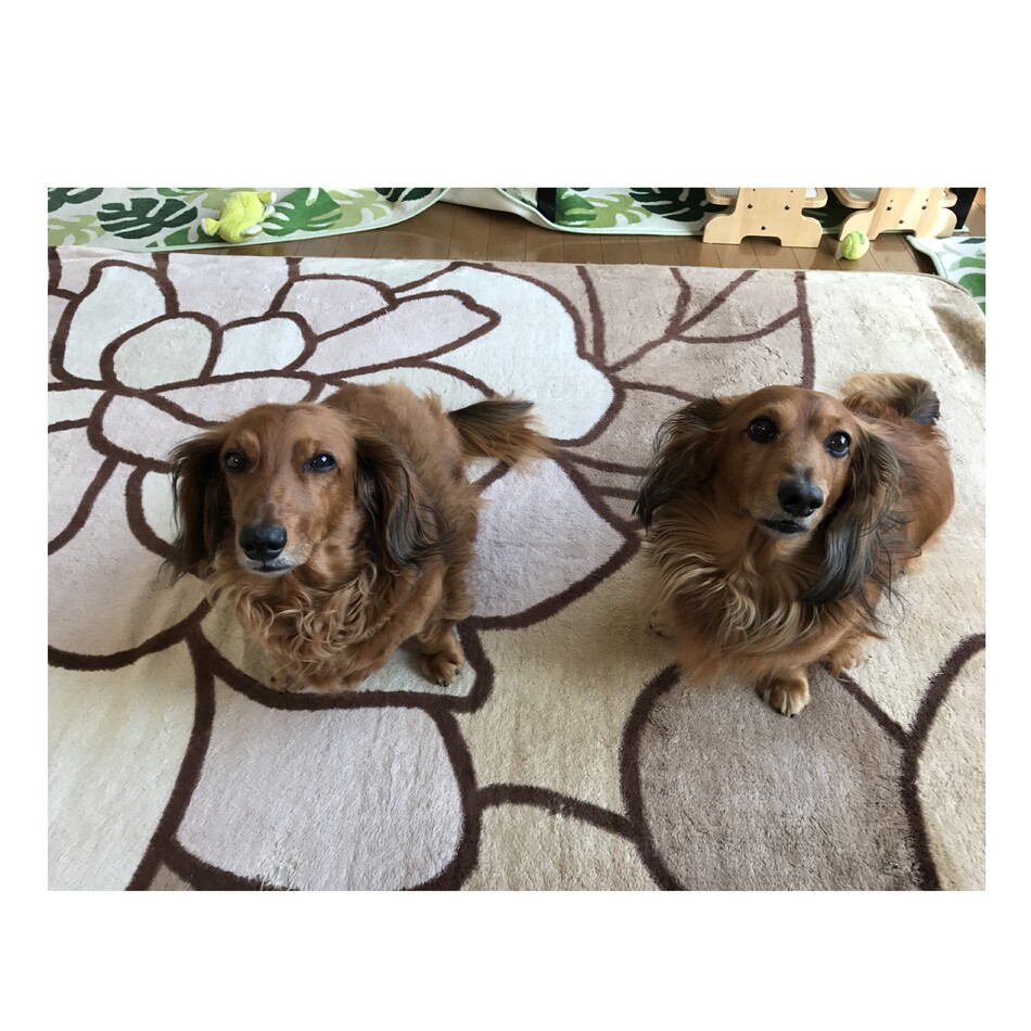 故　マックス　／　　父親のカバー写真