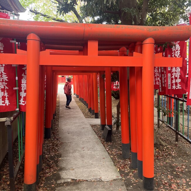 saqitaroのカバー写真