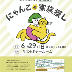 第11回にゃんこの家族探し