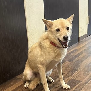 優しい目をした女の子(ゆかちゃん)