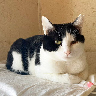 白黒女の子★2才