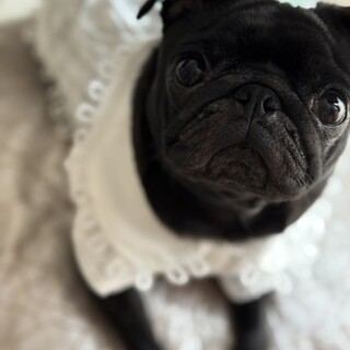 決まりました。