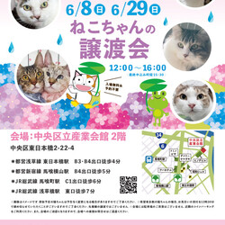 ねこざんまい譲渡会@東日本橋