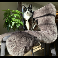 クロちゃんとモヒちゃん