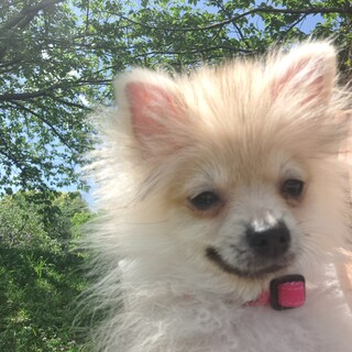 まだ5ヶ月！お利口さんです！