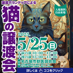 猫の譲渡会☆大須商店街近く