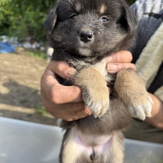 ふわふわクロ毛のかわいい女の子♡