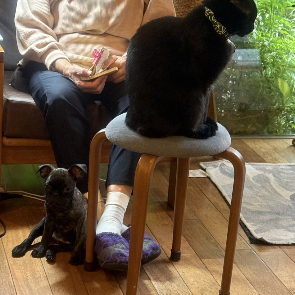 Maggieのカバー写真